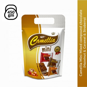 Camellia Mini Mixed Compound Chocolate (Hazelnut & Caramel) - 450g